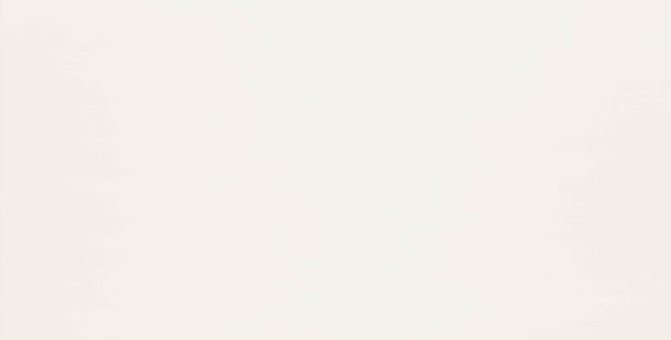 Melia white mat 30,8x60,8cm Tubądzin